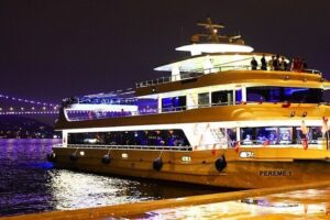Bosphorus Cruise Tour with Turkish Show - Bosphorus Bridges at Night: 15 July Martyrs and the Second Bridge