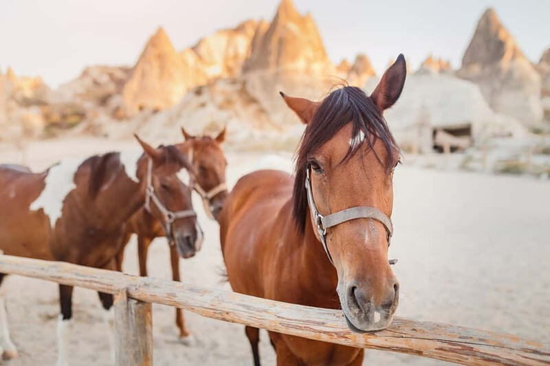Cappadocia: Göreme Horse Riding, Fairy Chimneys w/Transfer - Hallacdere Monastery: the rock-cut stop that gives the ride context