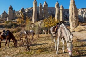 Cappadocia Horse Riding Experience Sunrise Sunset Daytime - Getting on your horse: helmets, safety rules, and first-time confidence