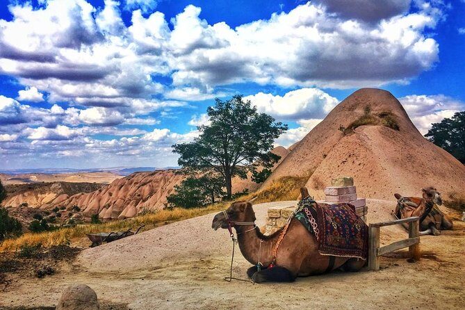 Cappadocia Red Tour (Pro Guide, Tickets, Lunch, Transfer incl) - Stop 1: Uçhisar Castle and the Geology Story Behind the Views