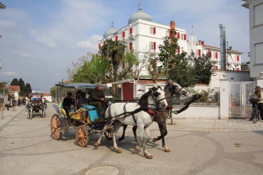 From Istanbul: Full-Day Princes Island Tour with Lunch - Crossing the Sea of Marmara on the Deluxe boat