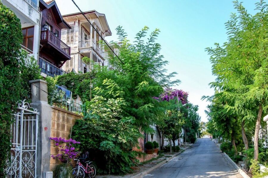 From Istanbul: Full-Day Princes Island Tour with Lunch - Büyükada and its Ottoman mansions: the day’s main event