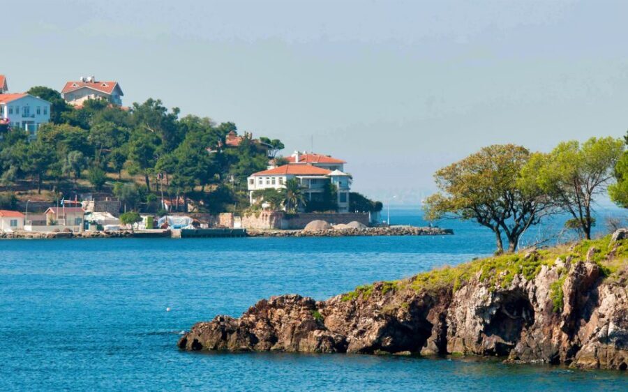 From Istanbul: Full-Day Princes Island Tour with Lunch - Timing, coach logistics, and that shop stop you may not love
