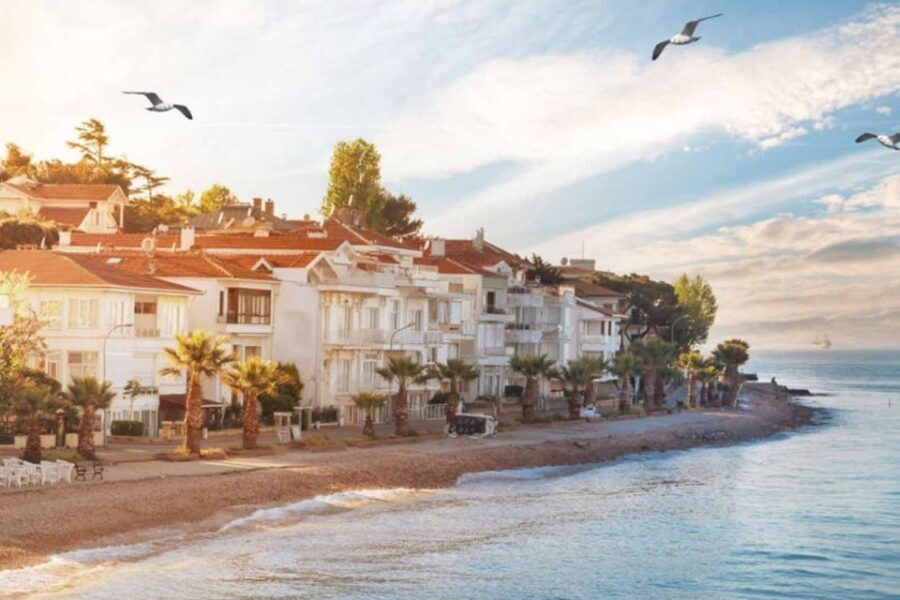 From Istanbul: Full-Day Princes Island Tour with Lunch - Who this is best for (and who should skip it)