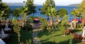 From Istanbul: Sapanca and Masukiye Day Trip with Lunch - The morning start: pickup and the zoo-or-sea route
