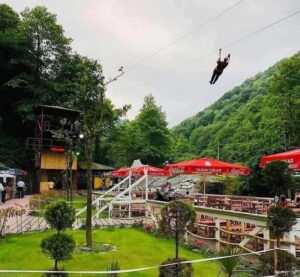From Istanbul: Sapanca & Masukiye Tour with Lunch - Darıca Zoo stop: animals first, then fresh air