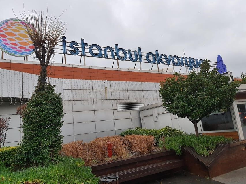 Istanbul: Aquarium Ticket and Round Trip Shuttle from Taksim - Should You Book the Istanbul Aquarium Ticket and Shuttle?