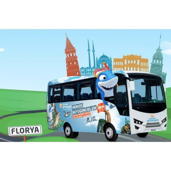 Istanbul: Aquarium Ticket with Shuttle Bus from Sultanahmet - Aquarium scale: 17,000 marine creatures and 1,500 species