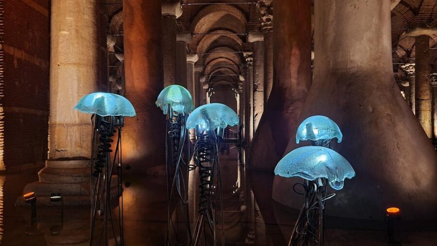 Istanbul: Basilica Cistern Skip-the-Line Entry Ticket - Skip-the-line entry: what you actually gain