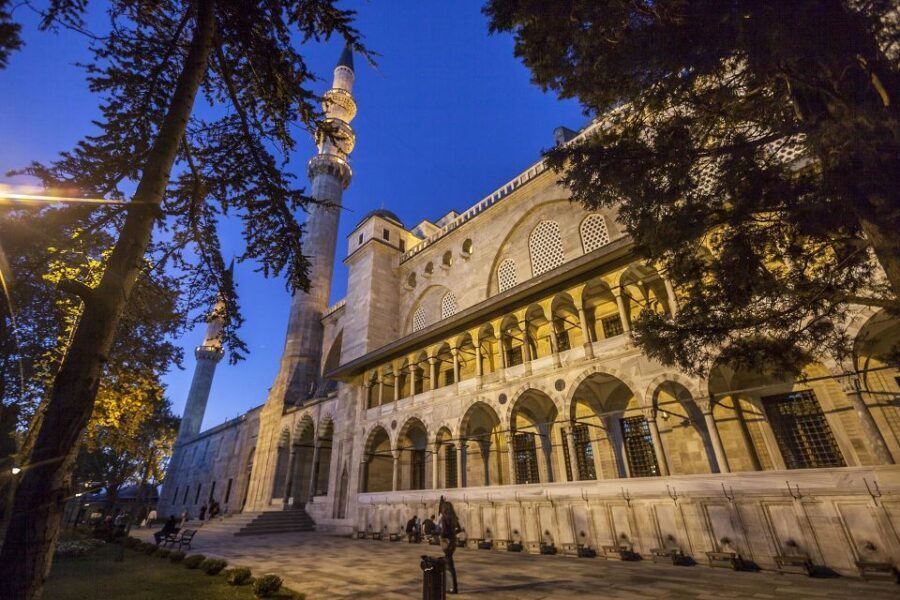 Istanbul: Best of the City Private Full-Day Walking Tour - Blue Mosque (Sultan Ahmed Mosque) (1 hour): finish with an iconic silhouette
