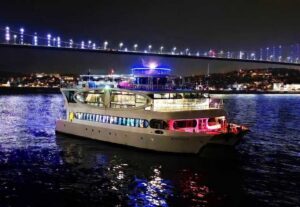 Istanbul: Bosphorus Cruise with Dinner Show - The Bosphorus route: what you’ll actually see from the water