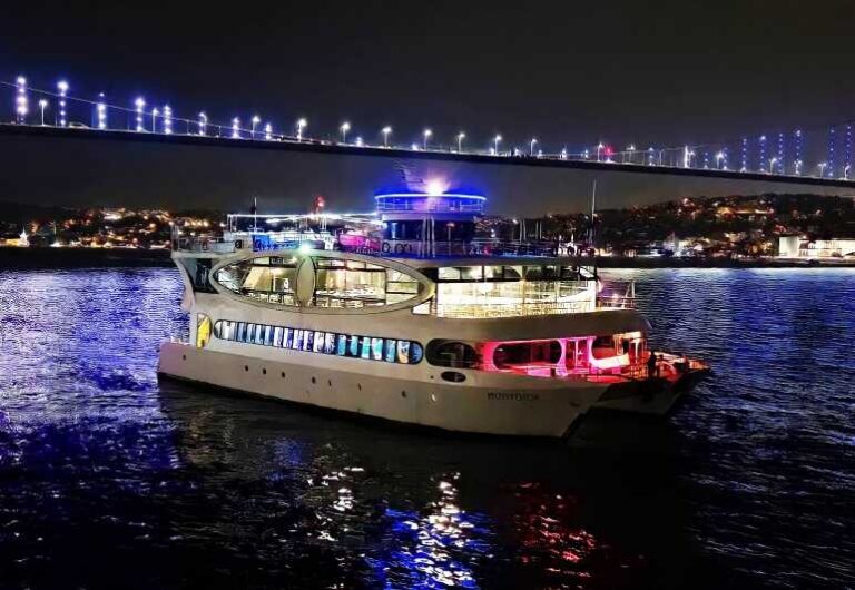 Istanbul: Bosphorus Cruise with Dinner Show - The Bosphorus route: what you’ll actually see from the water