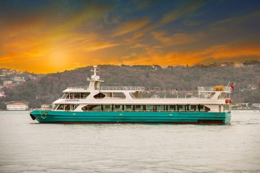 Istanbul: Bosphorus Sunset Cruise with Drinks & Snack - Food and drinks: what’s included, and how to handle the menu
