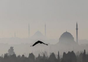 Istanbul: Hagia Sophia, Blue Mosque, Cistern & Bazaar Tour - Blue Mosque: what to look for beyond the photos