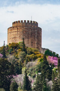 Istanbul: Morning or Sunset Cruise with Guide and Snacks - Meeting at Kabataş: Dentur Avrasya Is the Real Starting Line