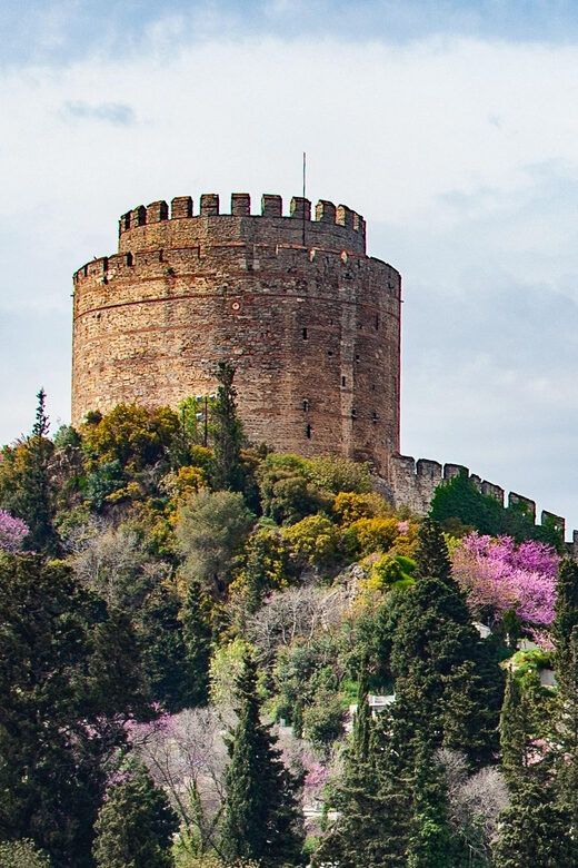 Istanbul: Morning or Sunset Cruise with Guide and Snacks - Meeting at Kabataş: Dentur Avrasya Is the Real Starting Line