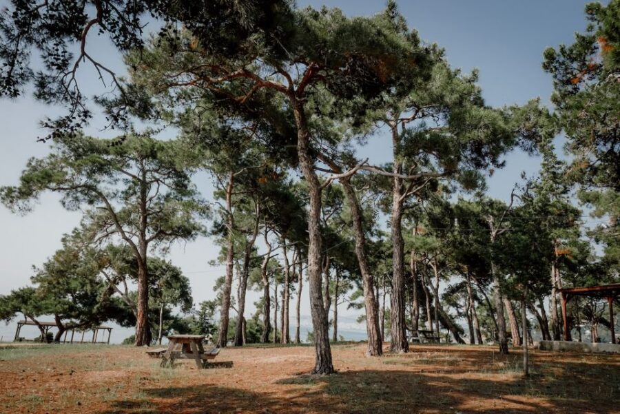 Istanbul: Princes' Islands Cruise w/Music, Lunch & Transfer - Time on the Islands: Why 7 Hours Can Feel Short