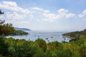 Istanbul: Princes' Islands Cruise w/Music, Lunch & Transfer - Price and What You Really Get for $34