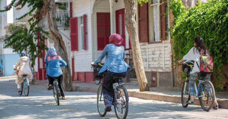 Istanbul: Princes Islands Tour with Heybeliada and Buyukada - Büyükada’s Mansions and 3 Hours of Free Time