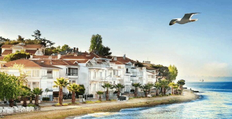 Istanbul: Princes Islands Tour with Heybeliada and Buyukada - The Return Cruise That Feels Like a Mini Celebration