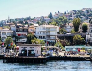 Istanbul: Princes' Islands Tour with Lunch and Transfers - Büyükada: Car-Free Walking, Mansion Streets, and Optional Electric Car