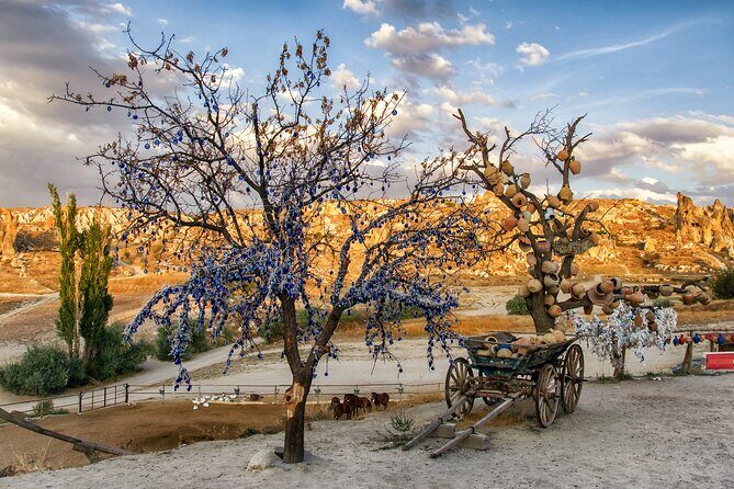 Private Cappadocia Tour with Underground City (Guide & Driver) - Transportation, Guides, and Small Timing Realities
